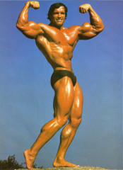 Arnold Schwarzenegger фото №86460